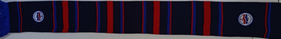 Blason Pepsi (11).jpg