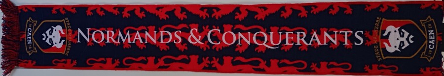 Blason Viking (11).jpg